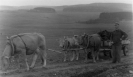 Historische Bilder