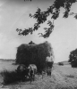 Historische Bilder