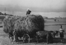 Historische Bilder