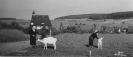 Historische Bilder